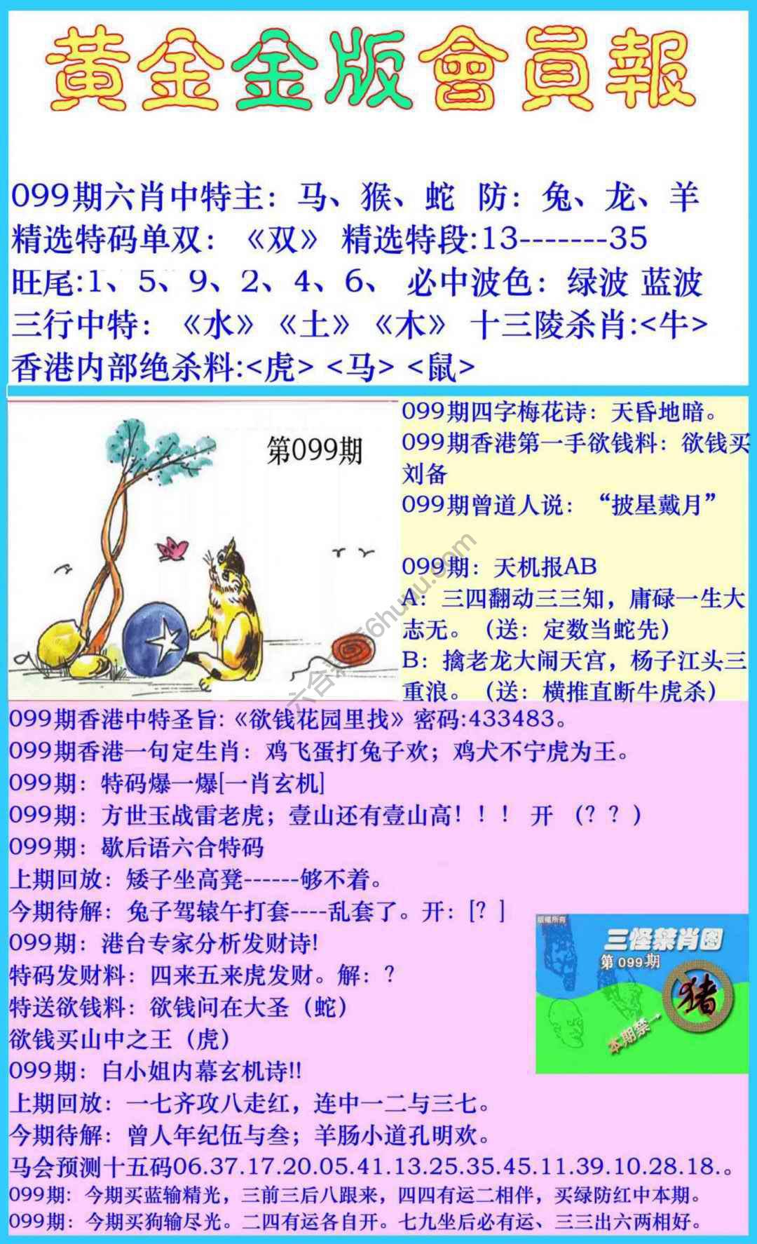 黄金金版会员报