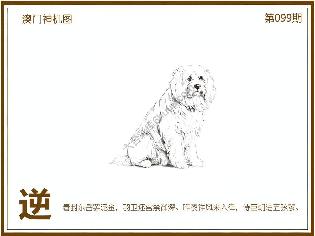 澳门神机图