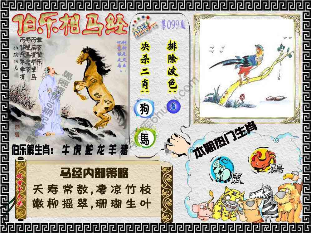 伯乐相马经