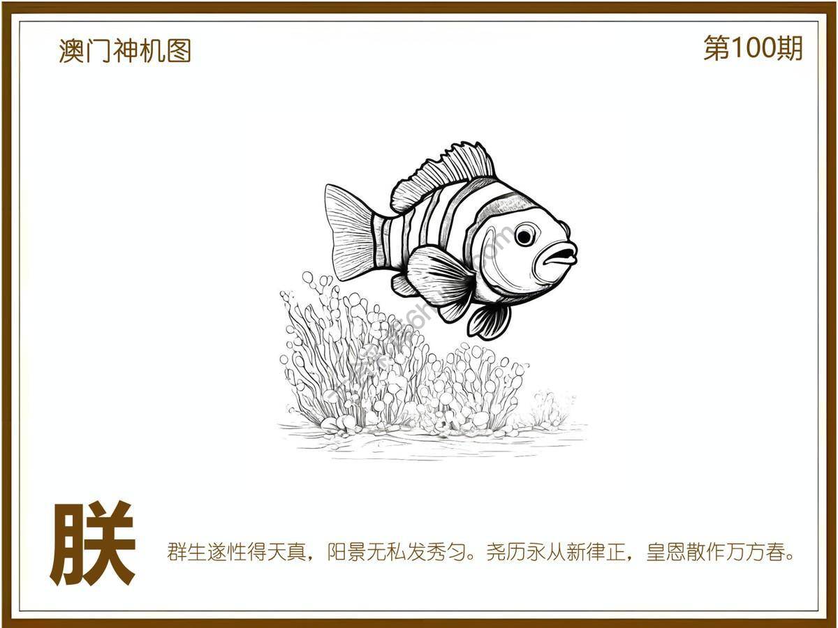 澳门神机图