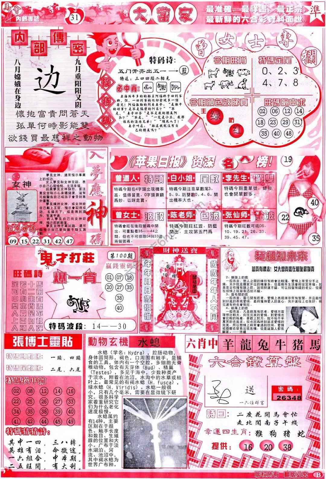 大当家