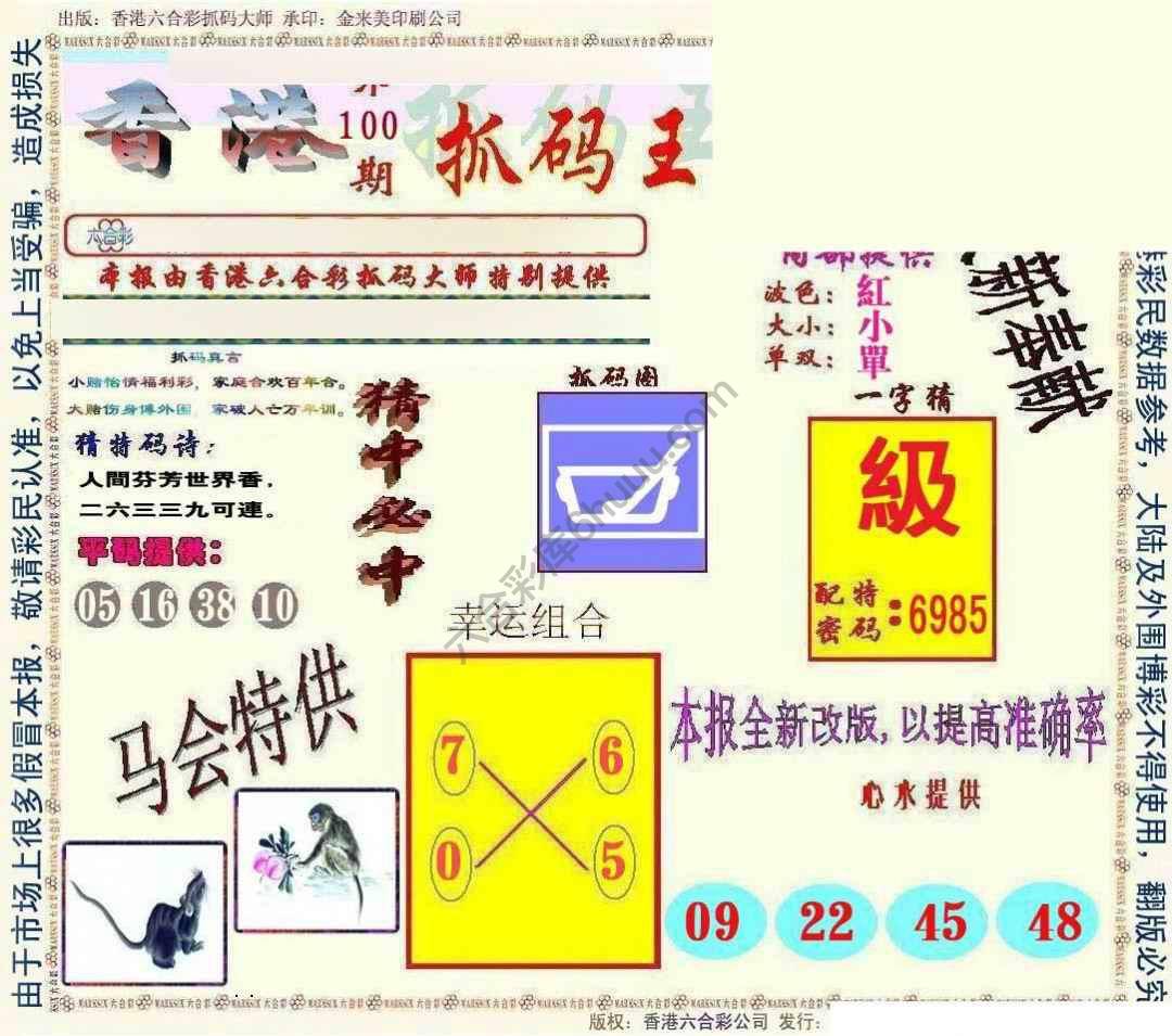 新抓码王