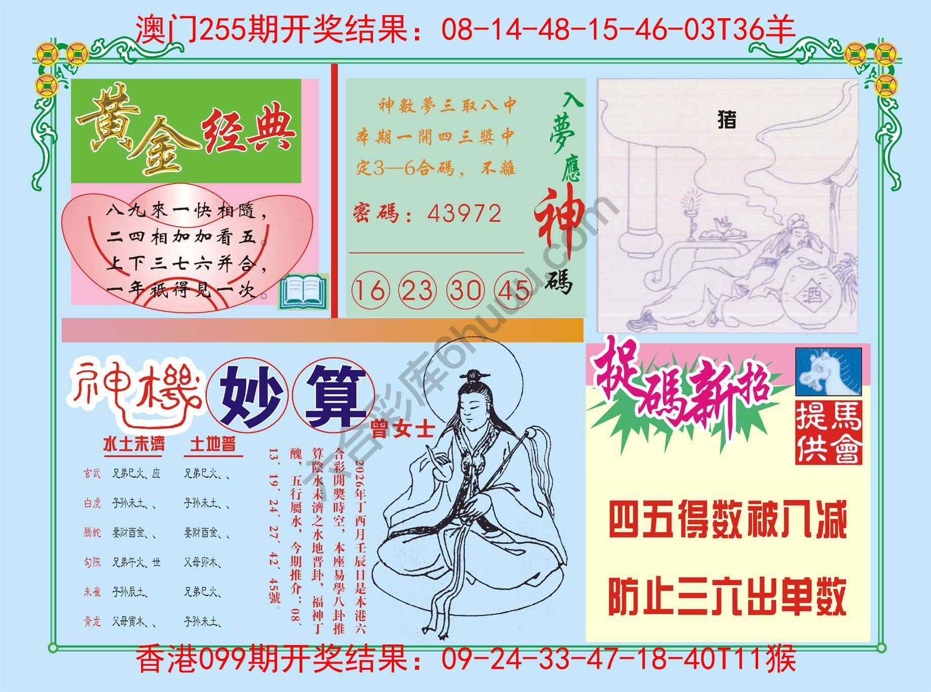 老版曾女士