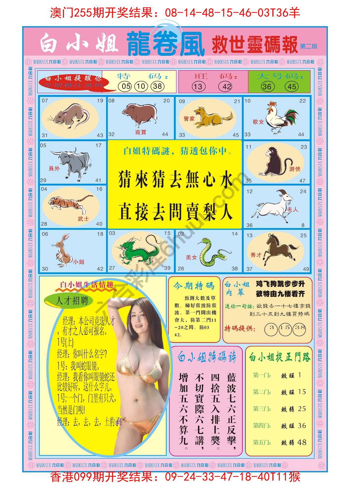 白小姐救世灵码报