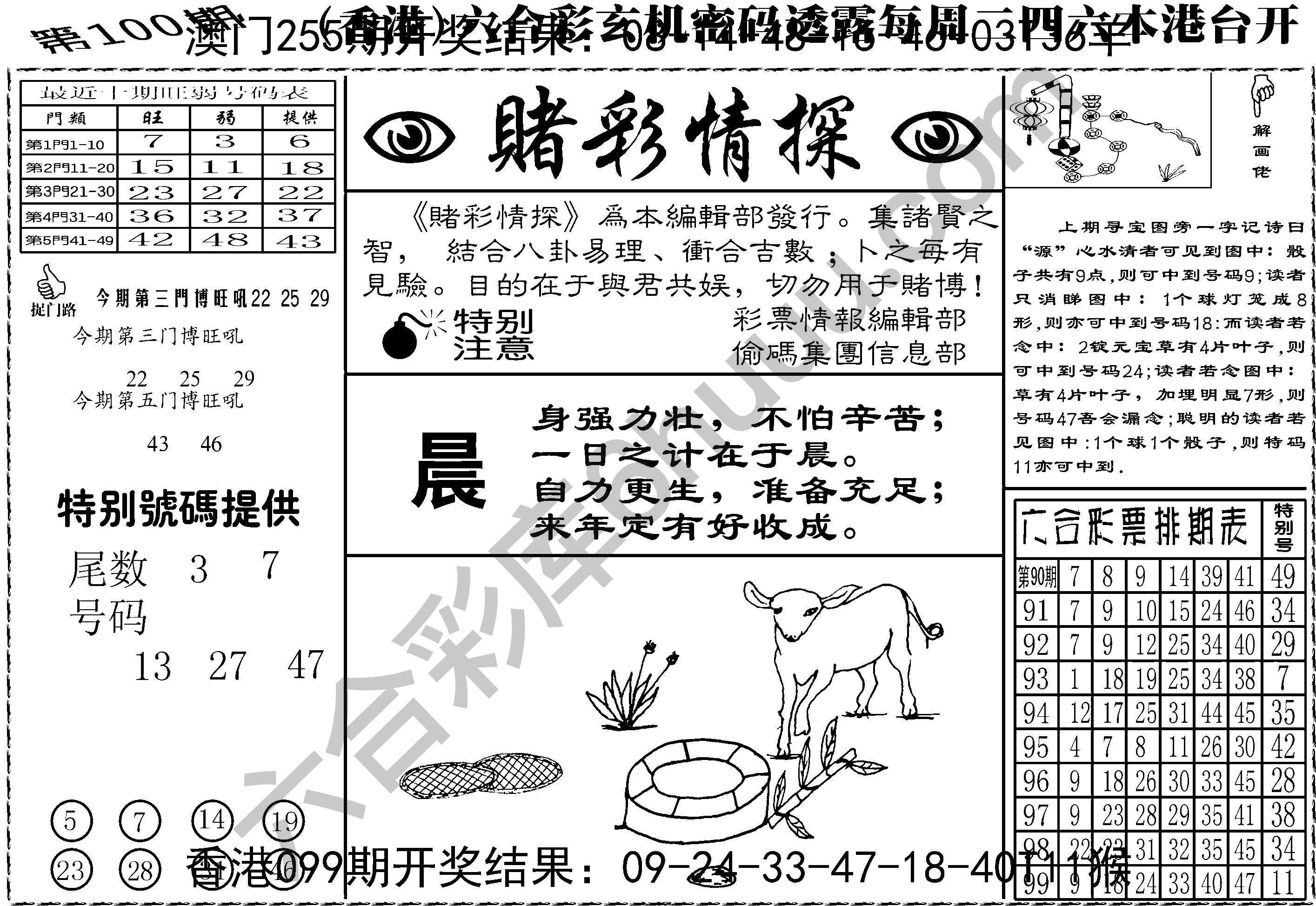 赌彩情探