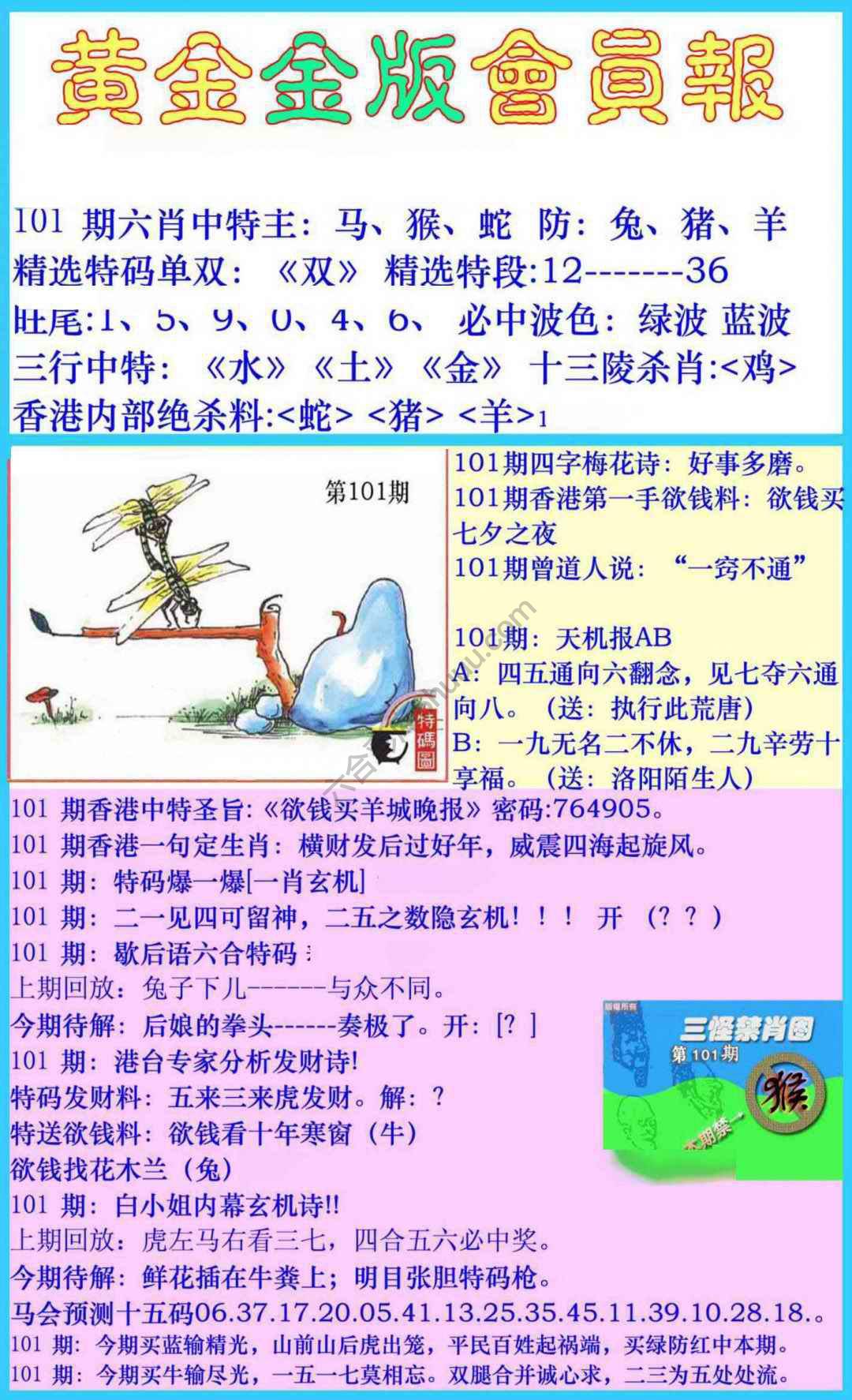 黄金金版会员报