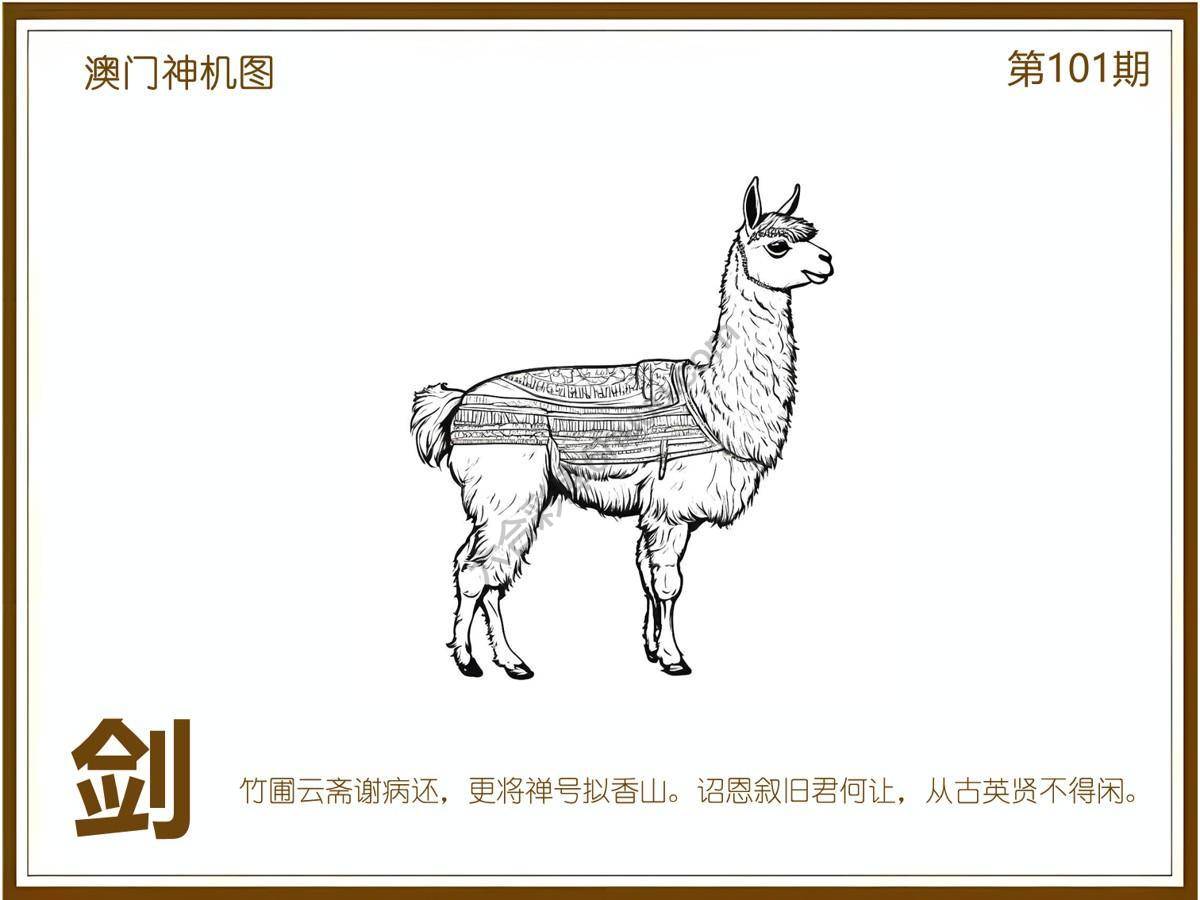 澳门神机图