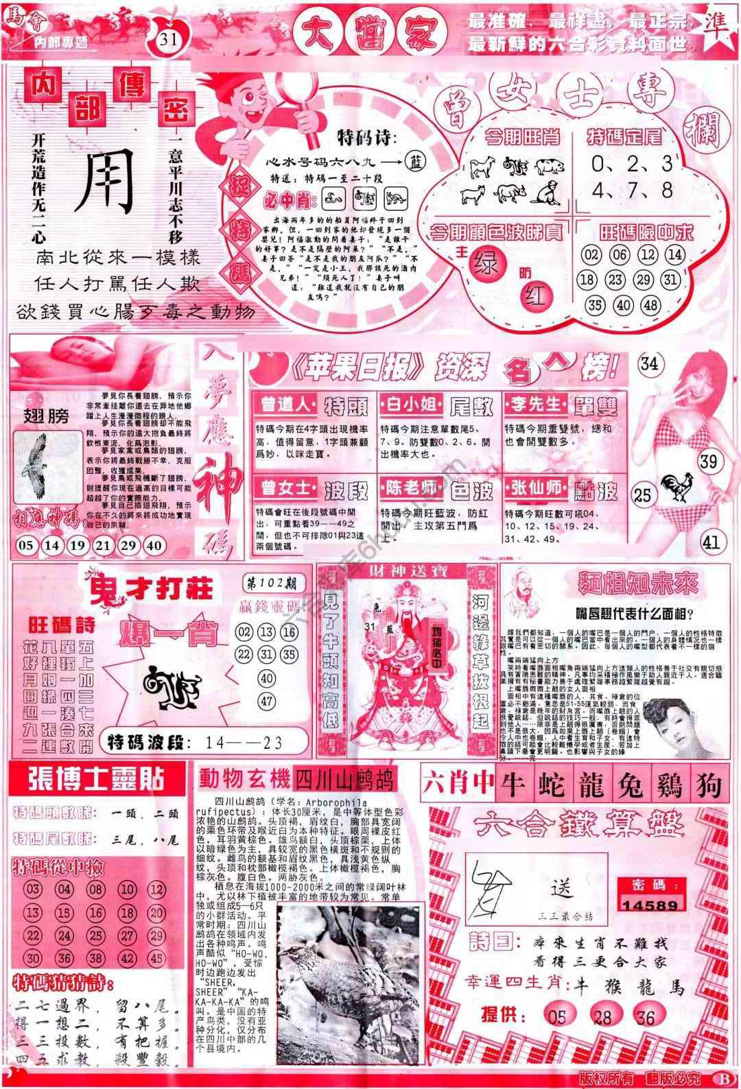 大当家