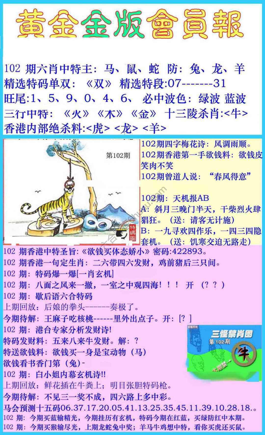 黄金金版会员报