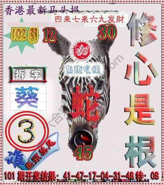 香港马头报