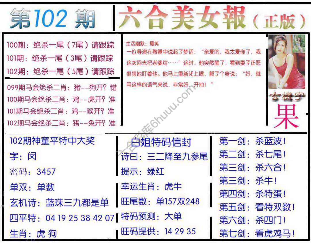 六合美女报