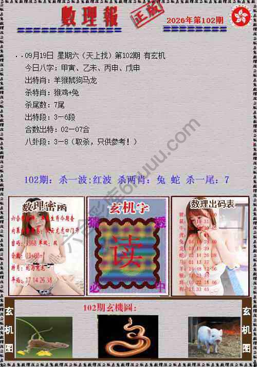 数理报
