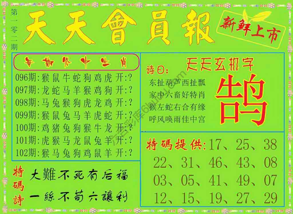 天天会员报