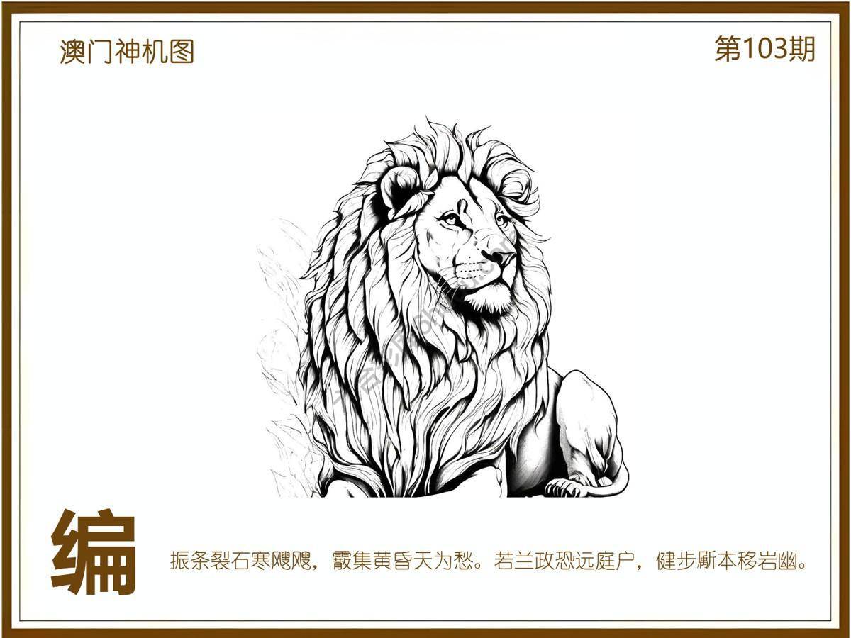 澳门神机图
