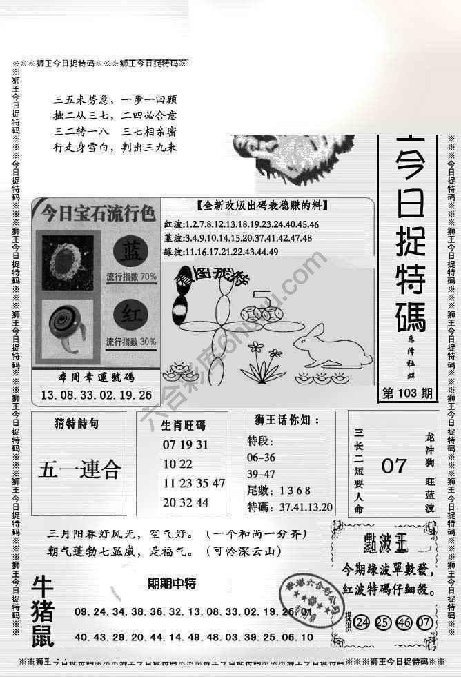 狮王今日抓特码