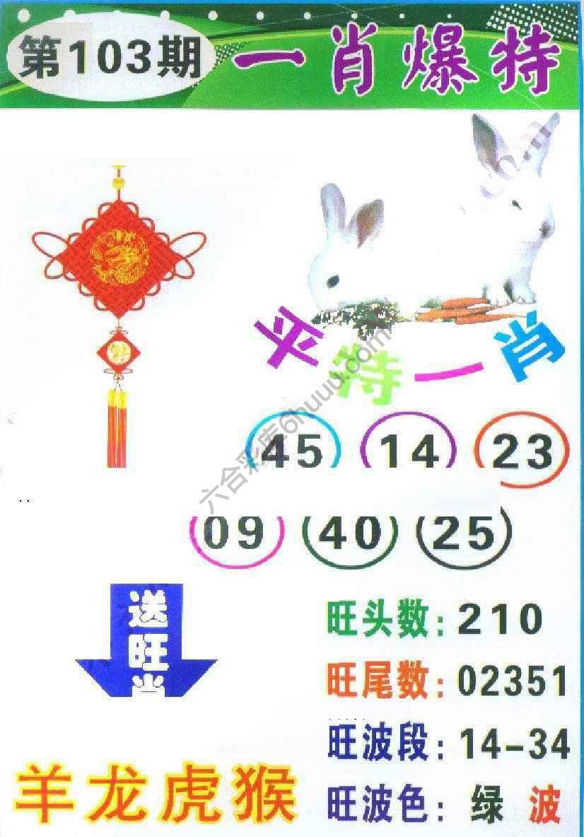 一肖爆特（新版）