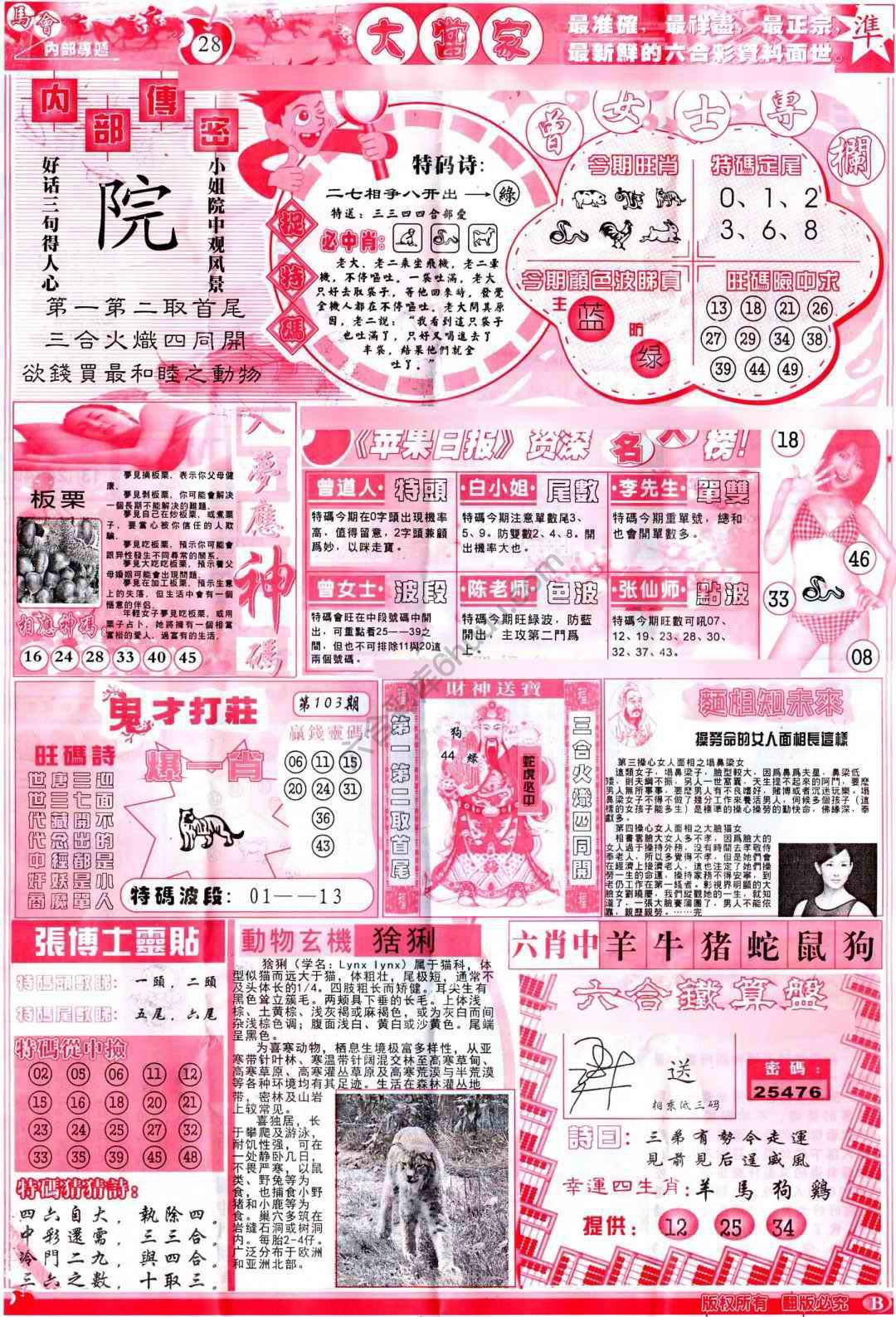 大当家