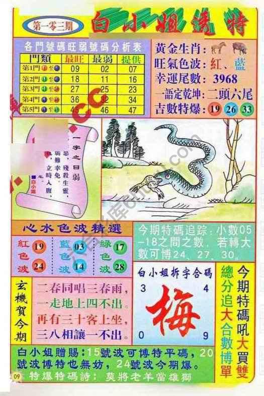 白小姐透特