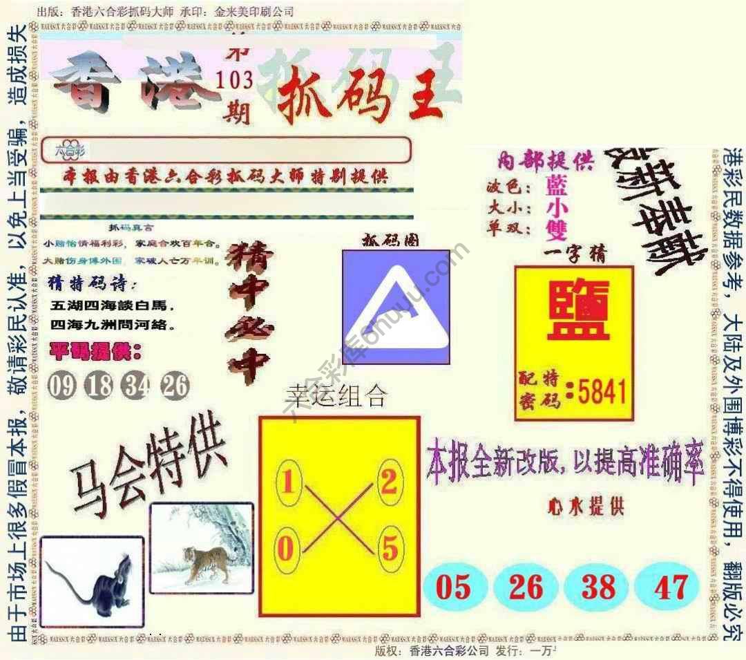新抓码王