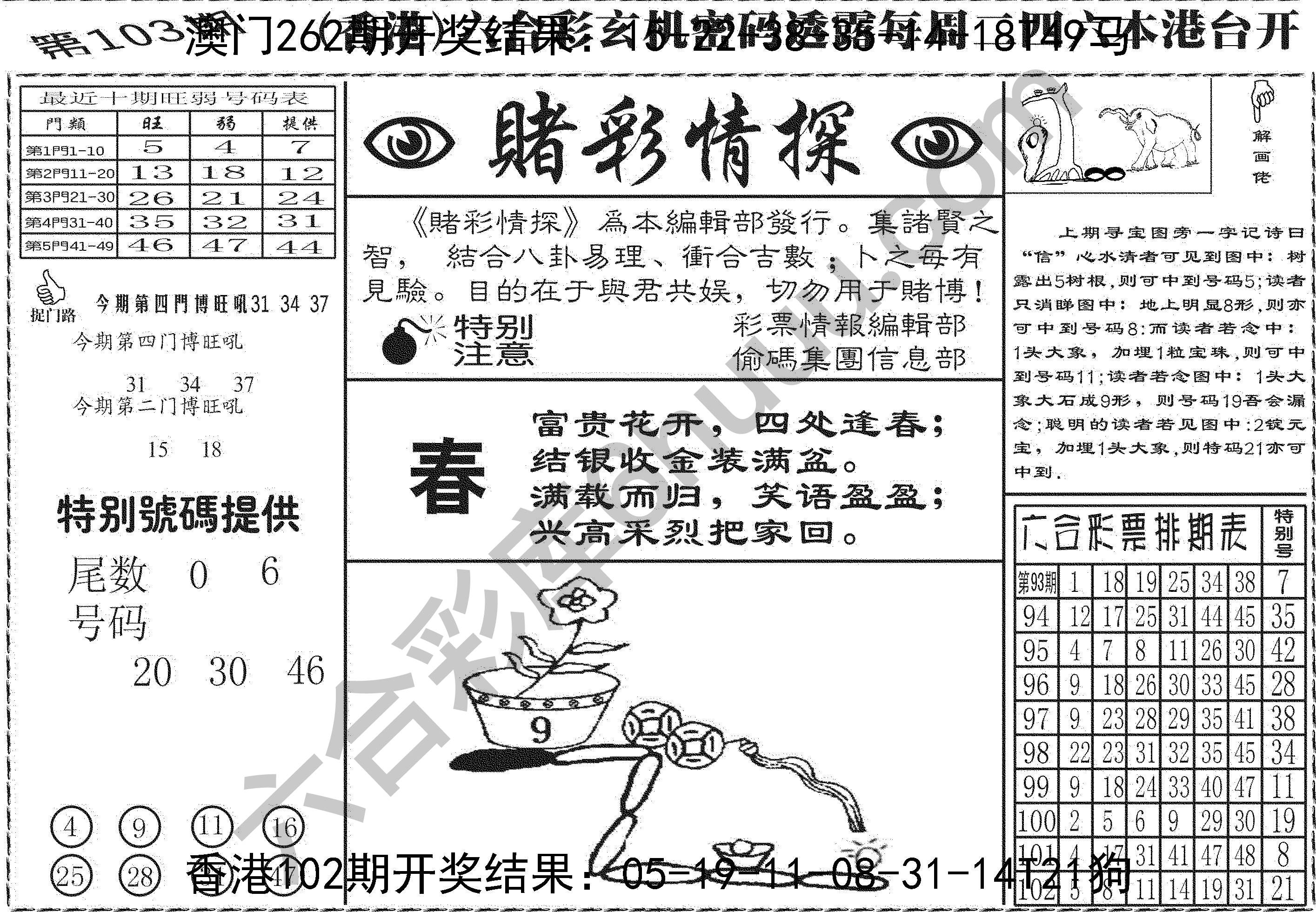 赌彩情探