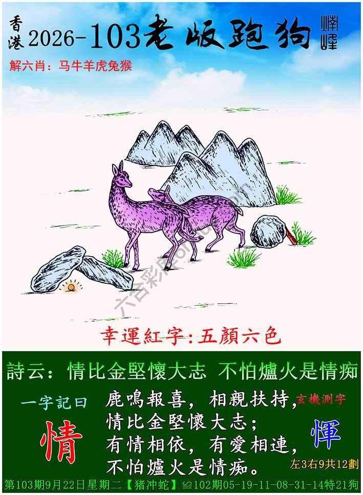 老版跑狗图