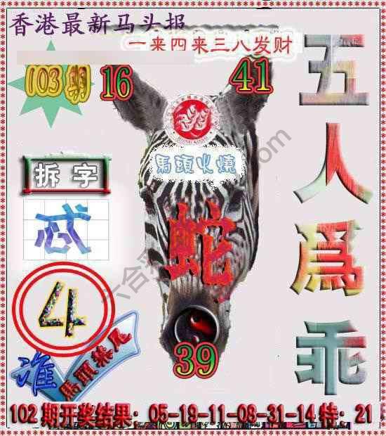 香港马头报