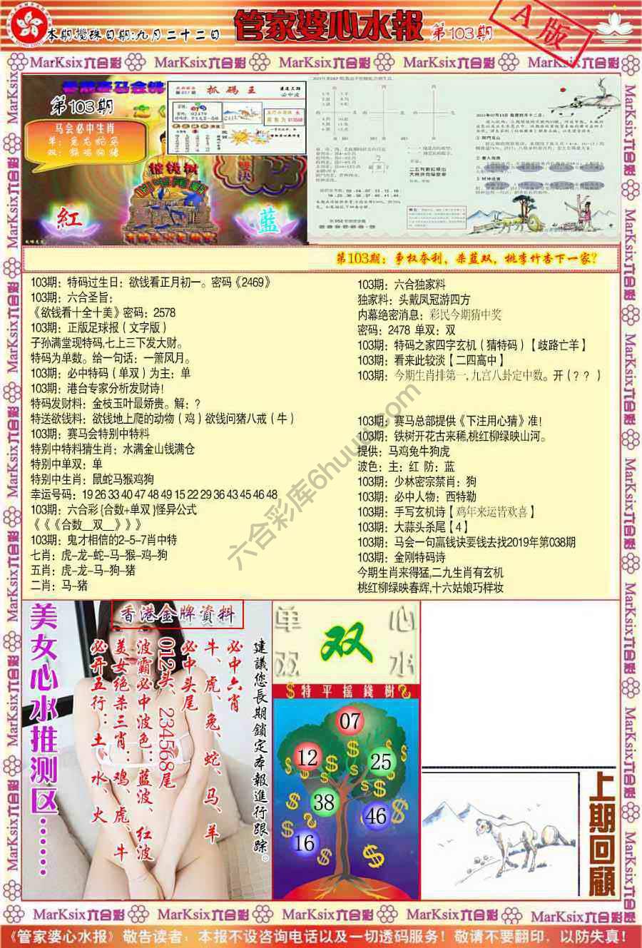 管家婆心水报