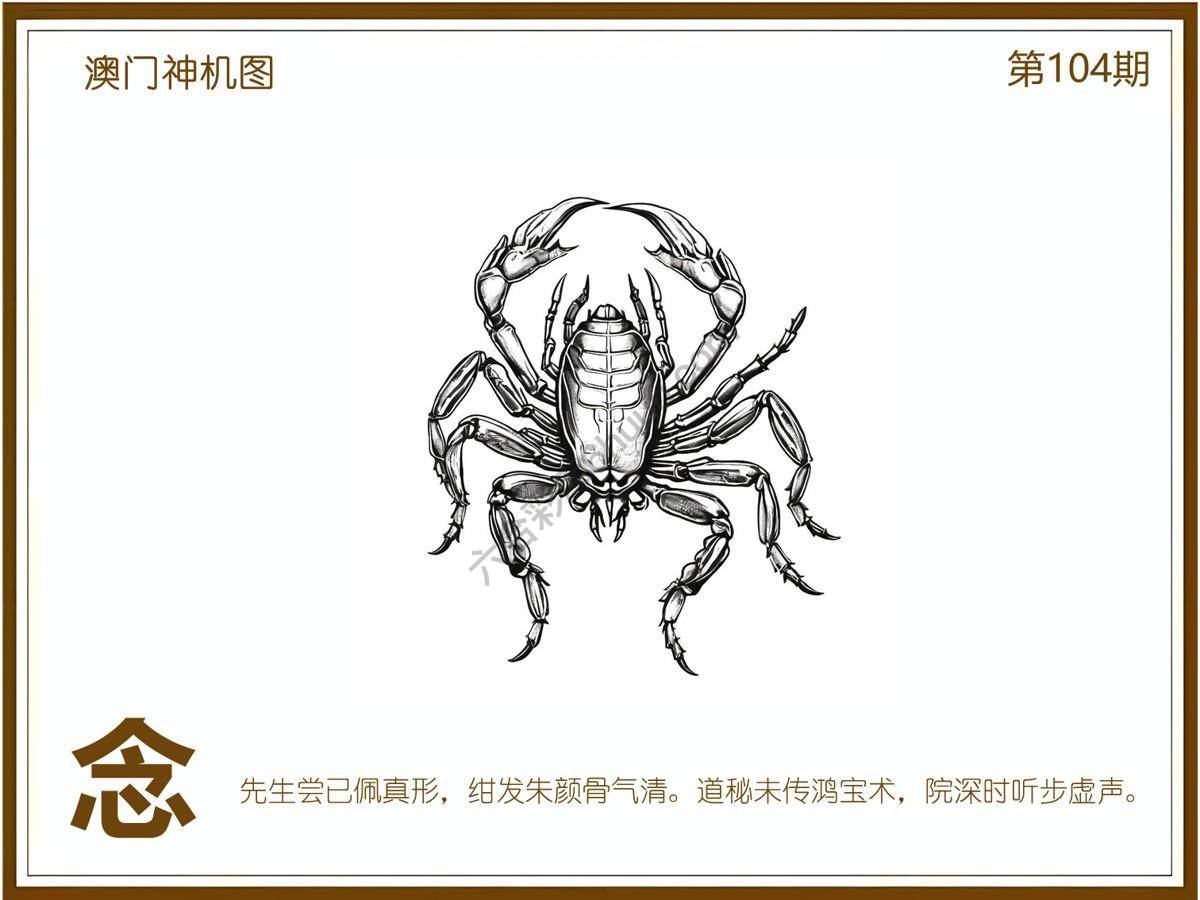 澳门神机图