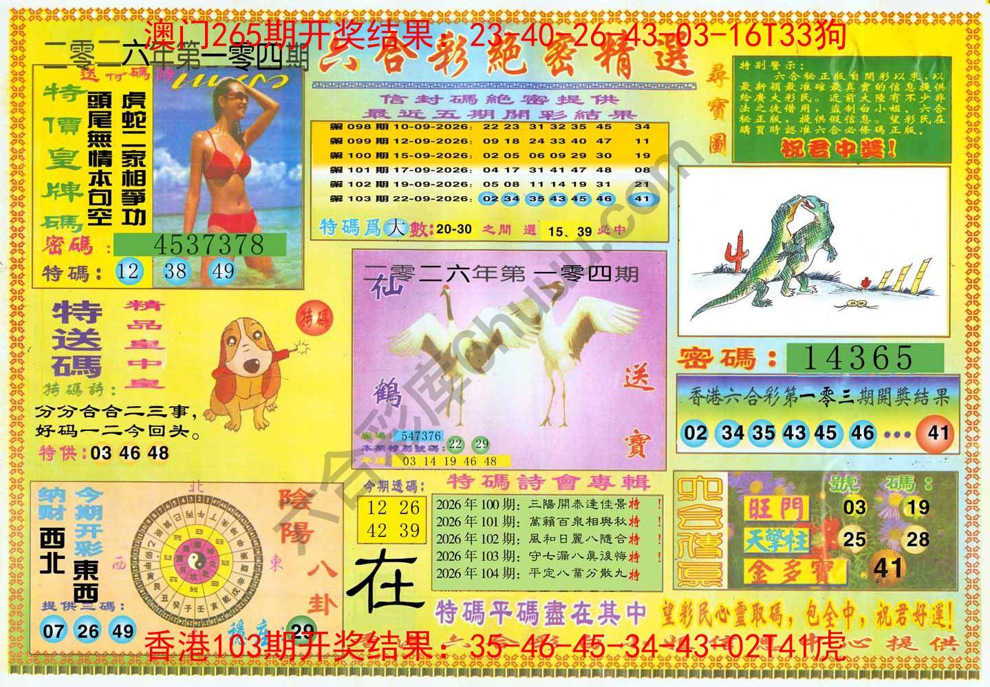 六合彩绝密精选