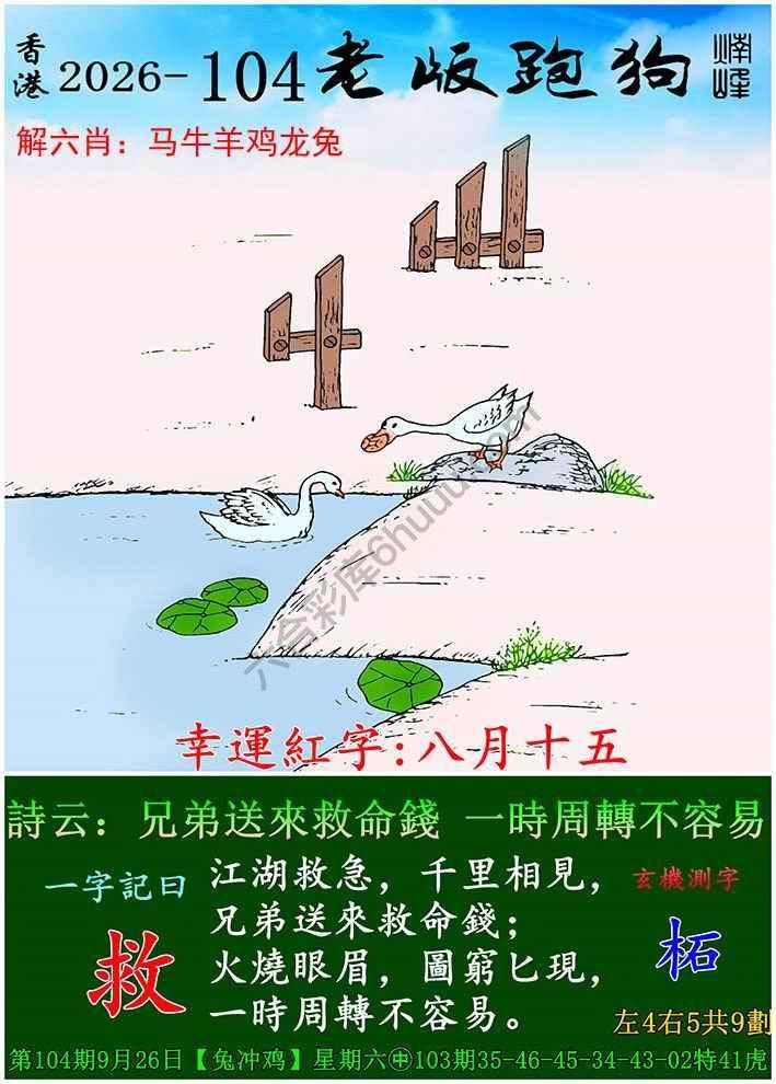 老版跑狗图