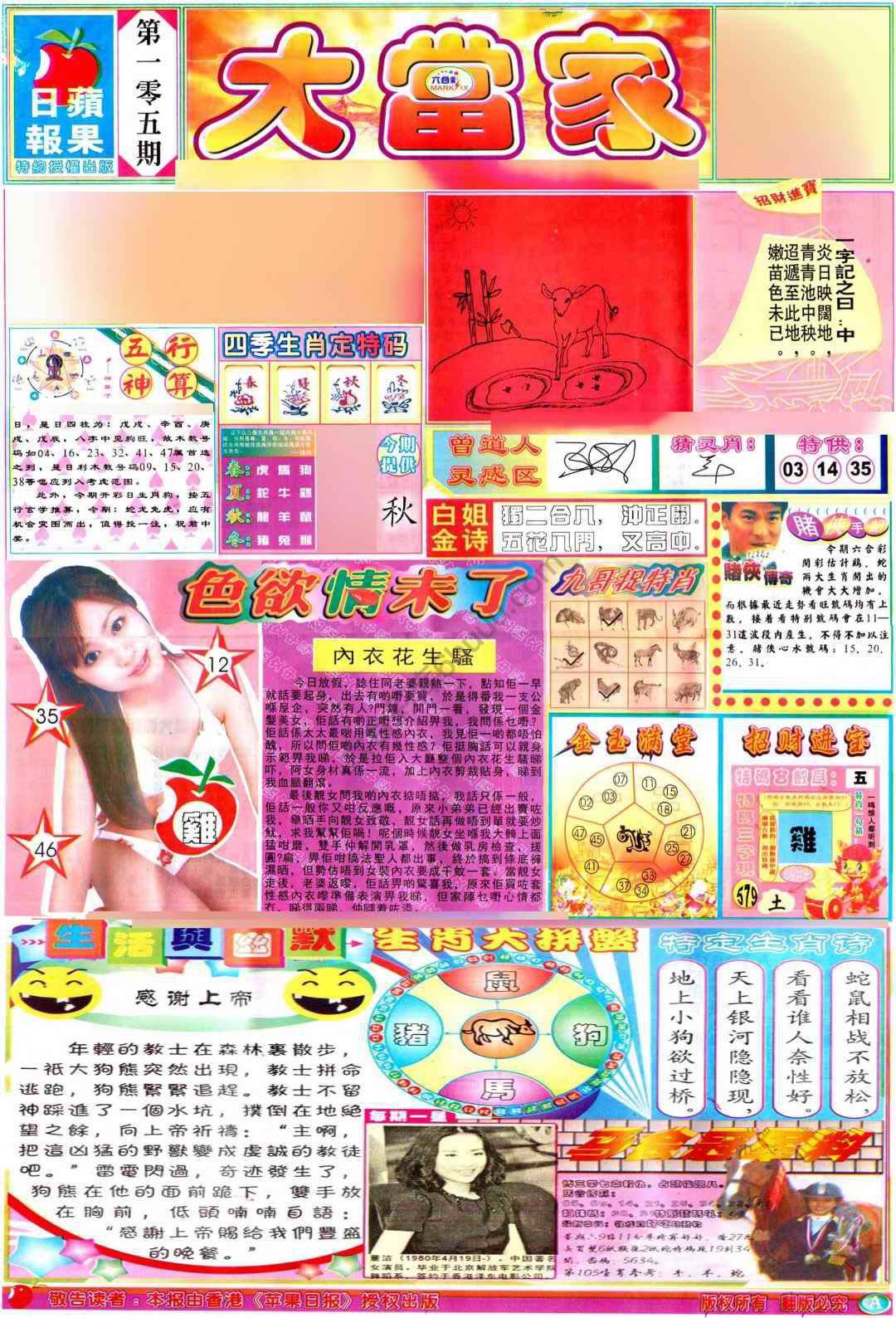大当家