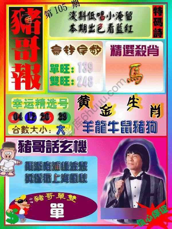 猪哥报