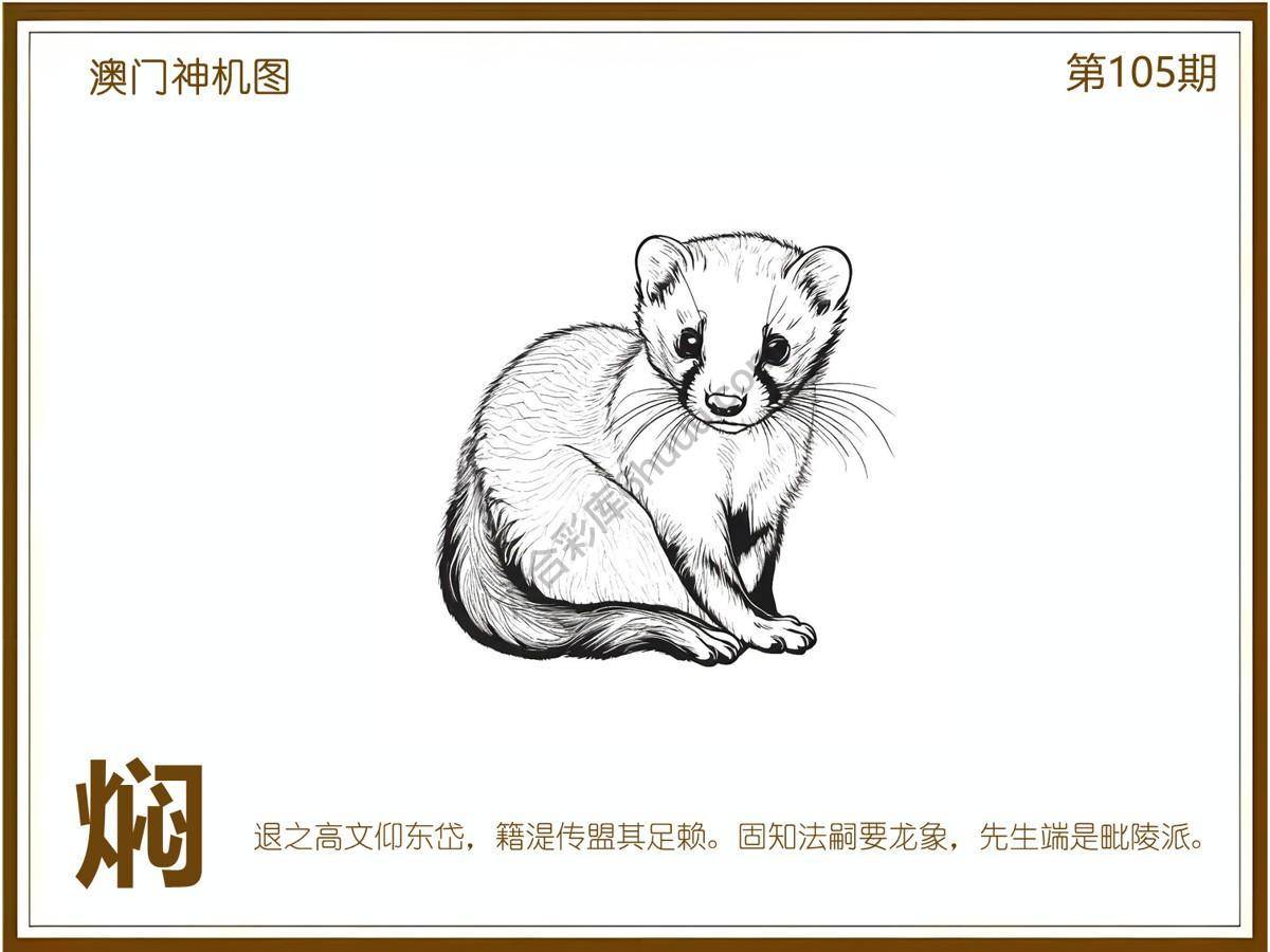 澳门神机图