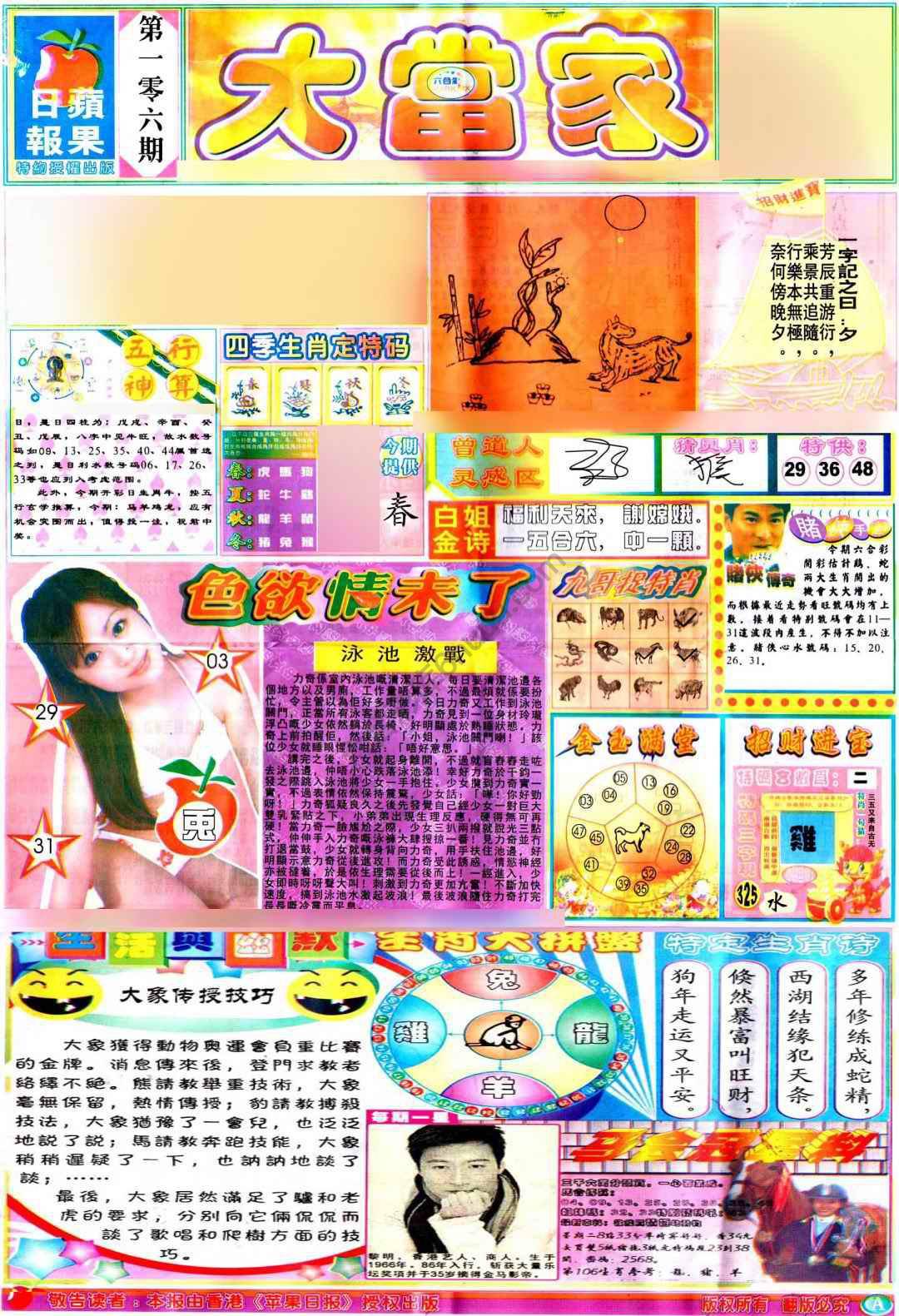 大当家