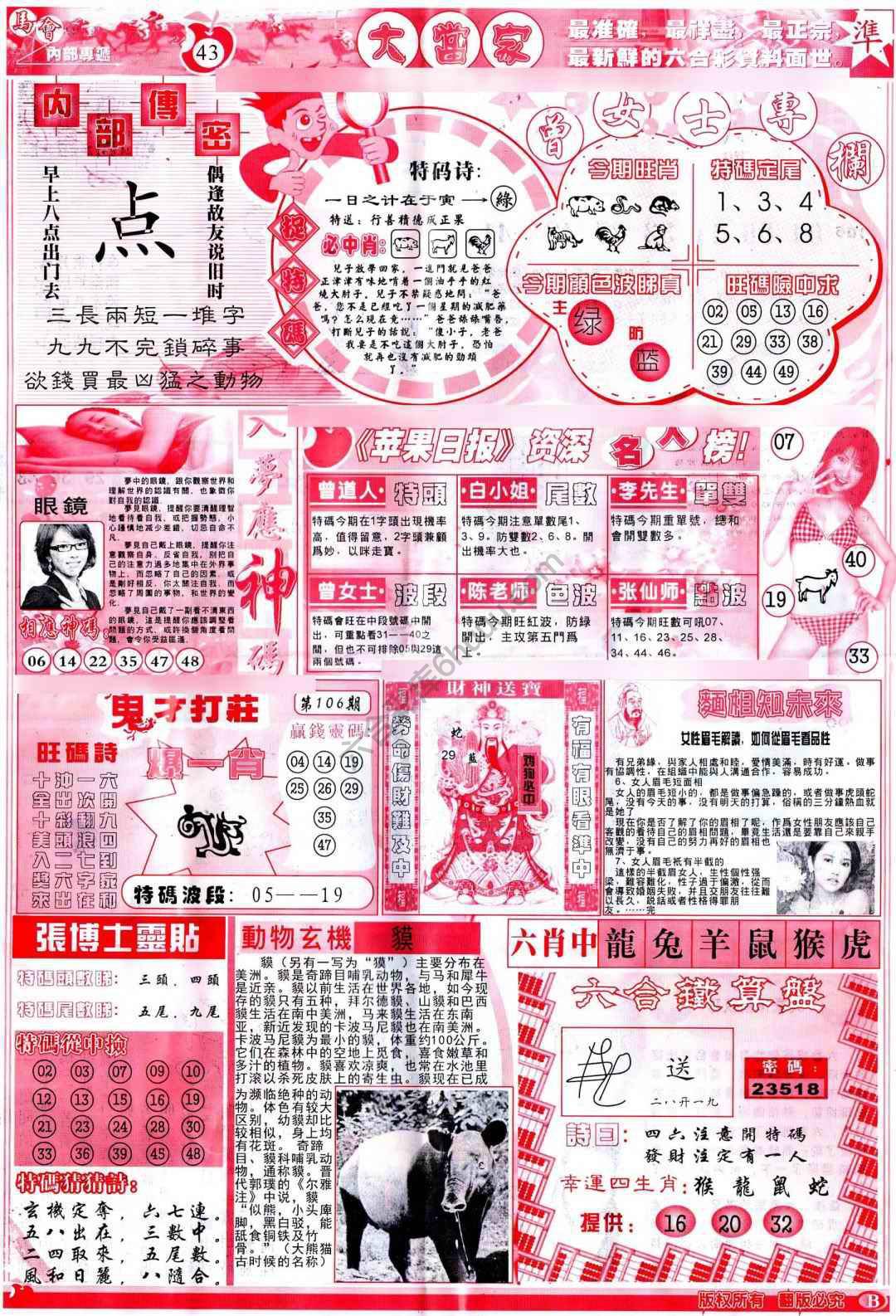 大当家