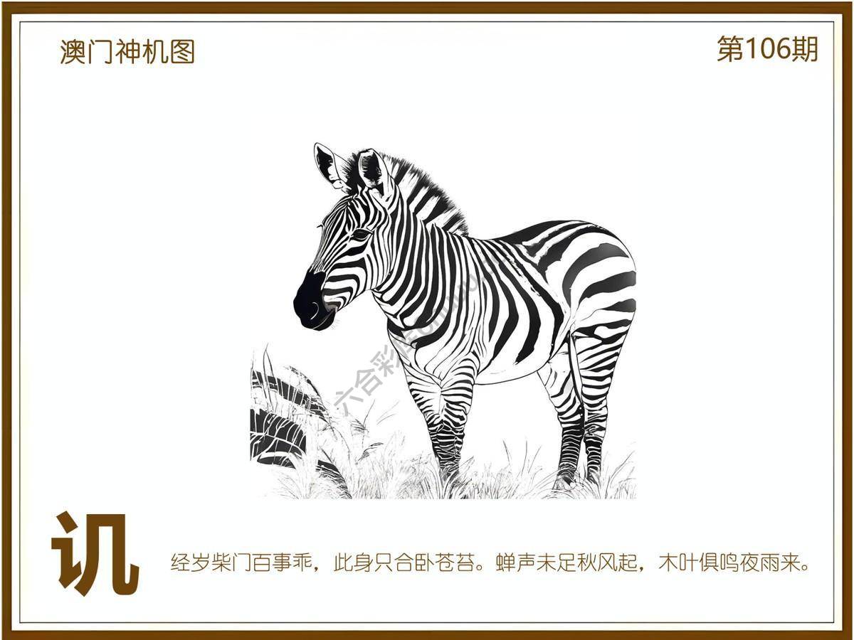 澳门神机图
