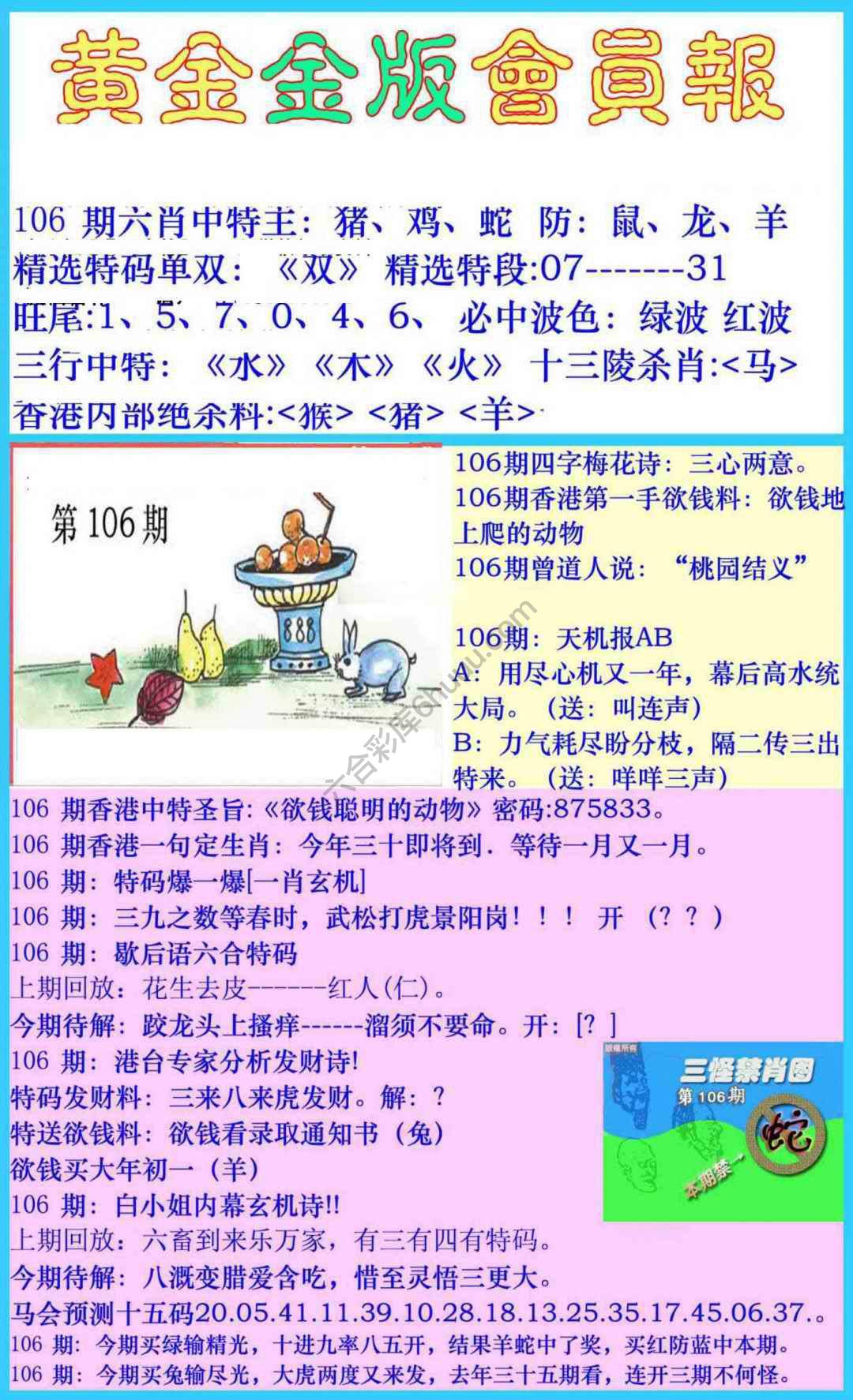黄金金版会员报