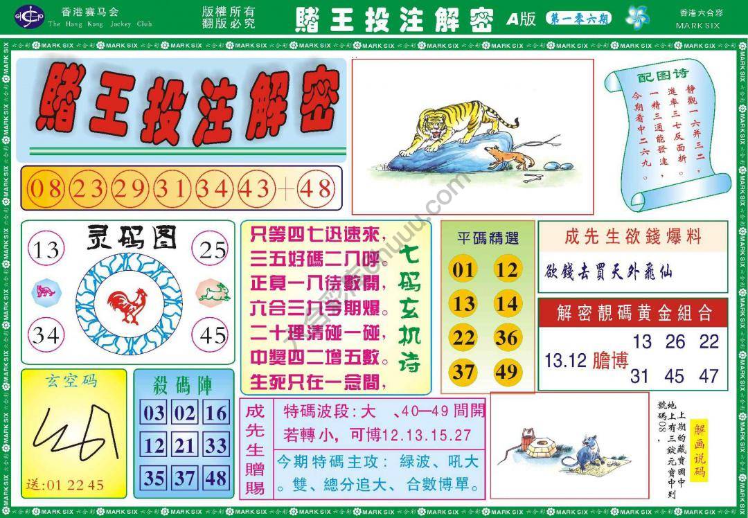 赌王投注解密