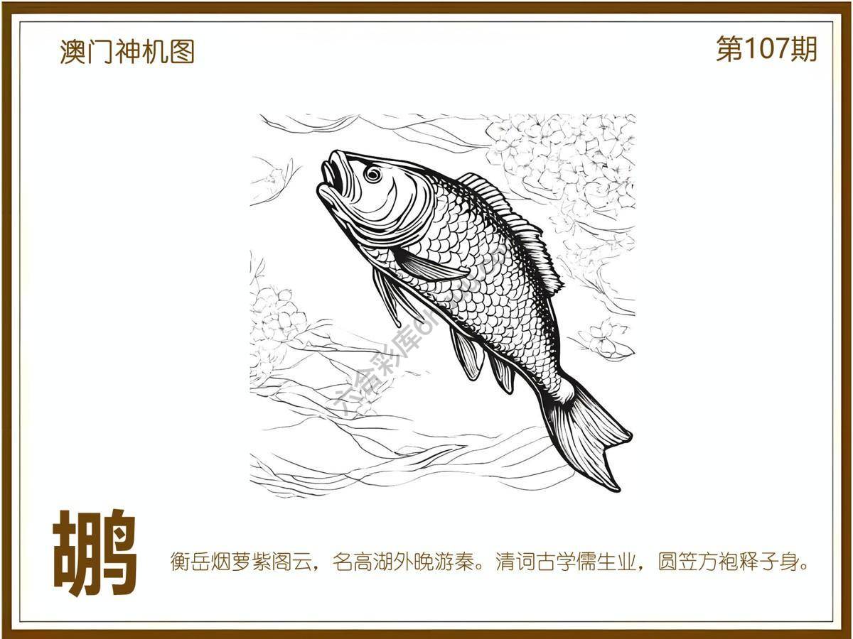 澳门神机图