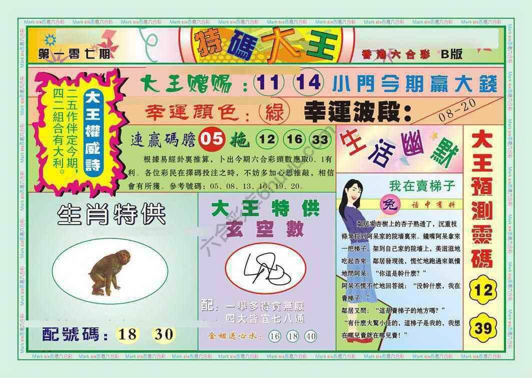 特码大王