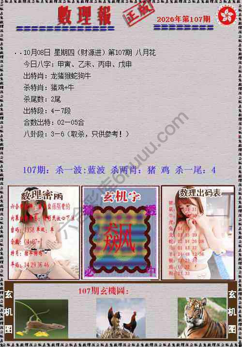 数理报