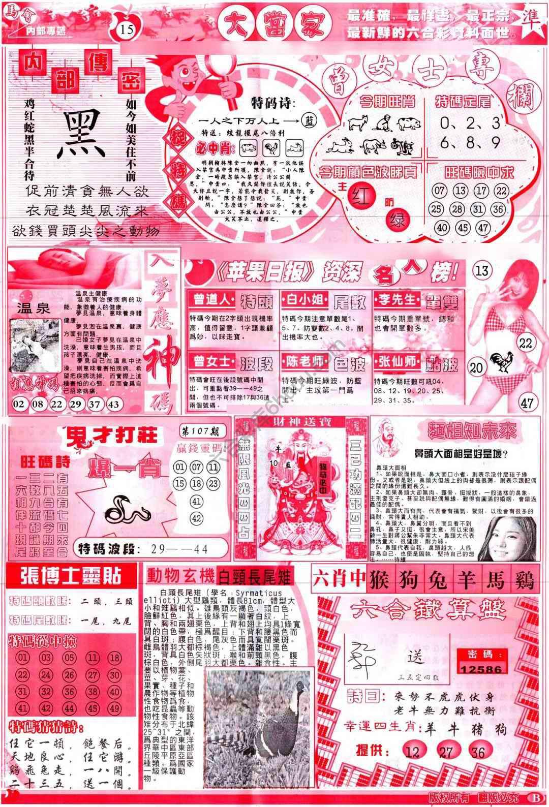 大当家