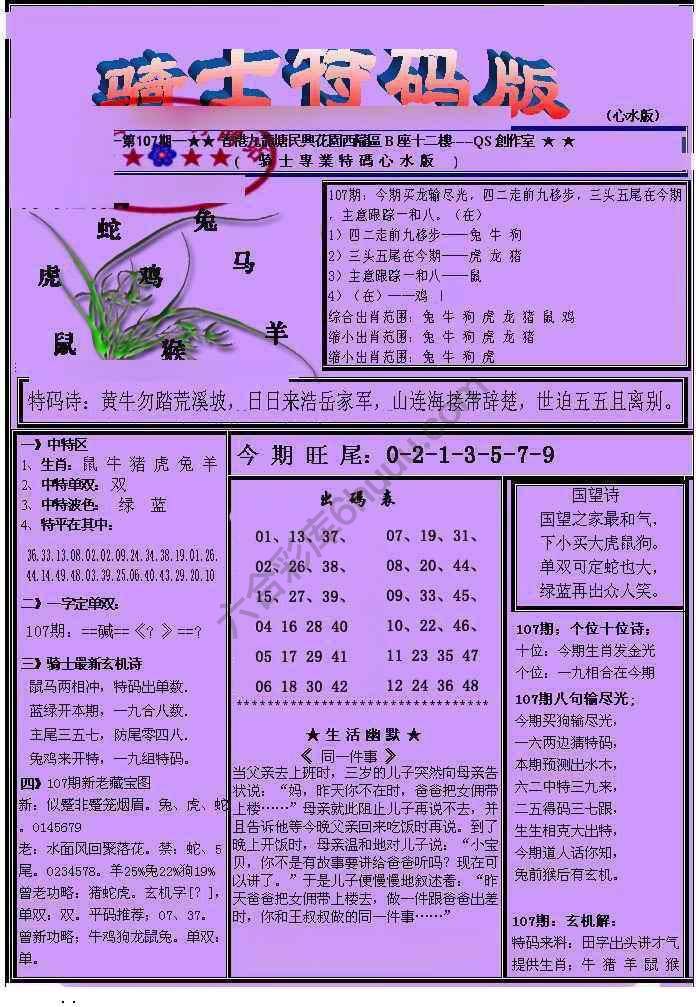 另类骑士特码版