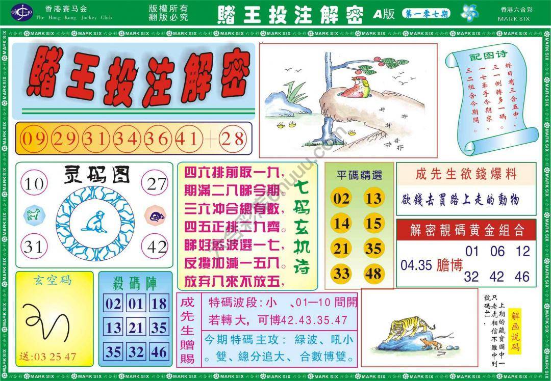 赌王投注解密
