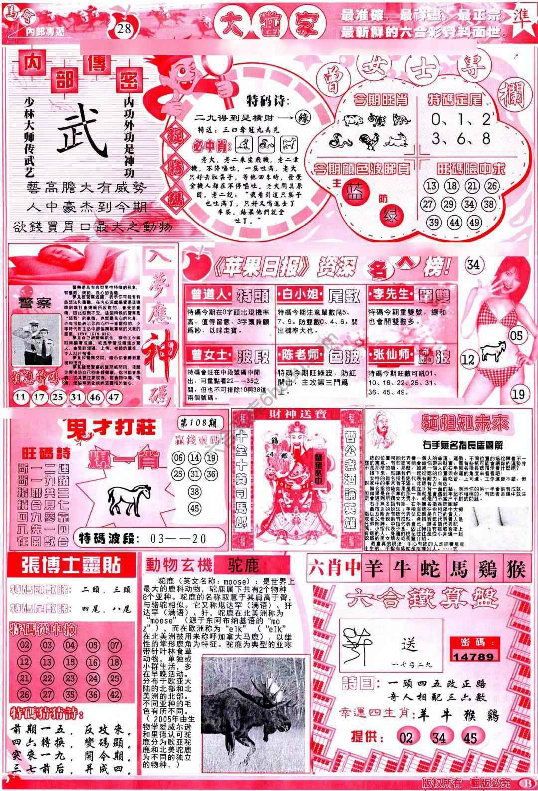 大当家