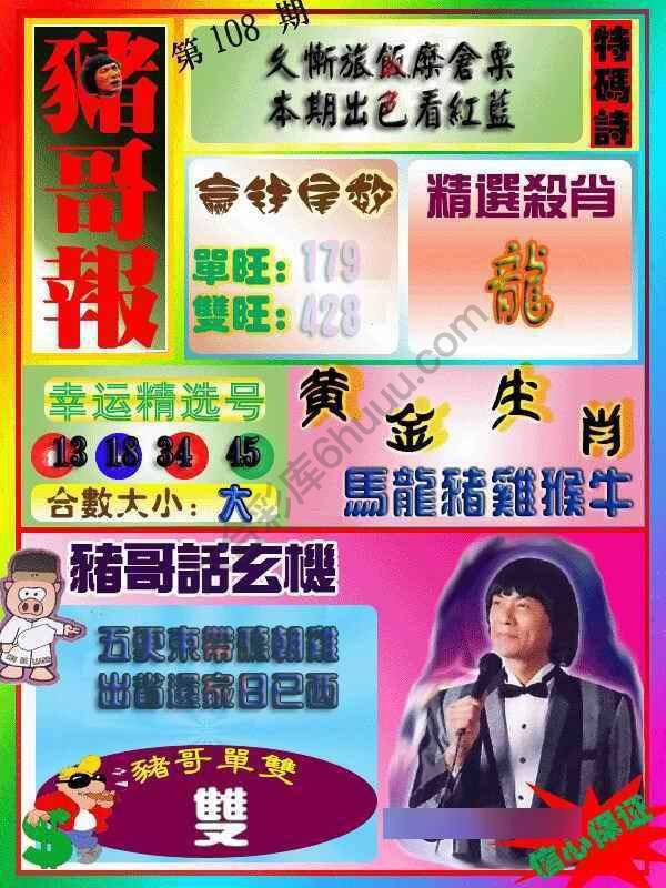 猪哥报