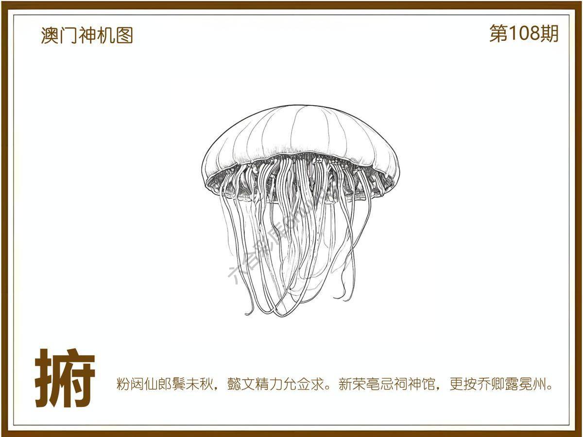 澳门神机图