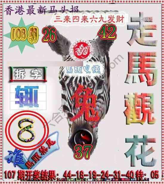 香港马头报