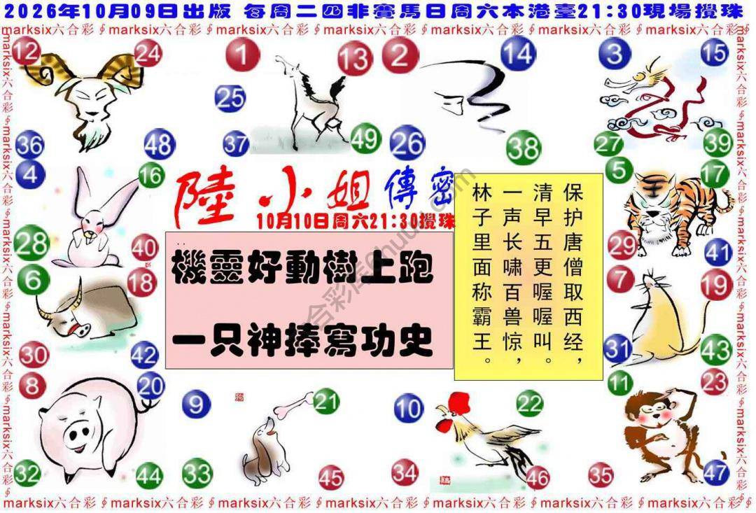 陆小姐传密