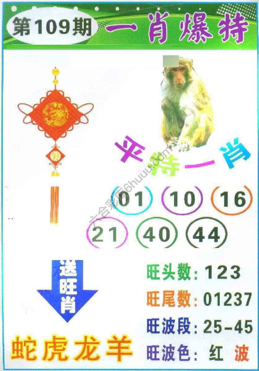 一肖爆特（新版）